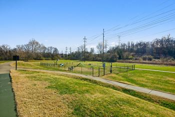 Dog park